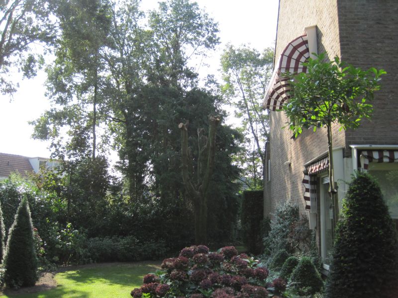 foto20081027_058.jpg