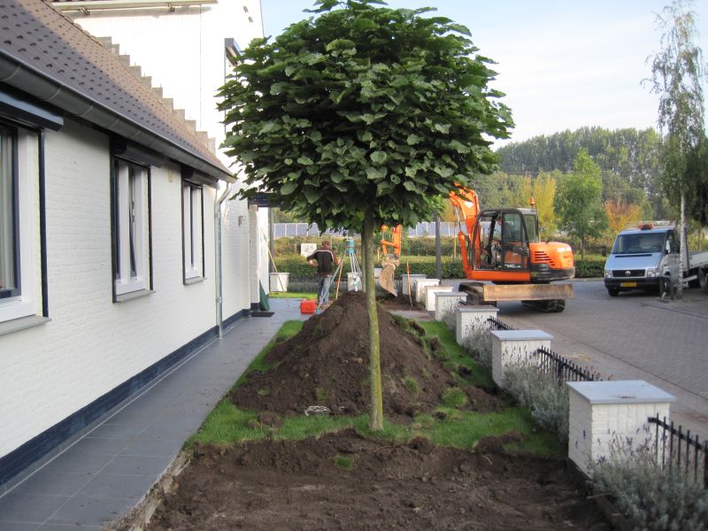 foto20081027_062.jpg
