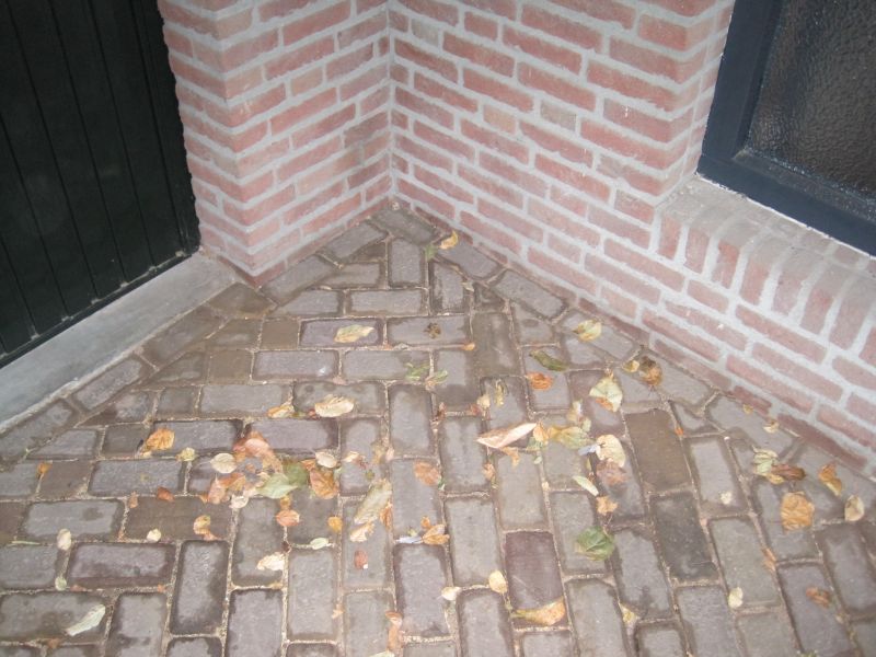 foto20081027_077.jpg