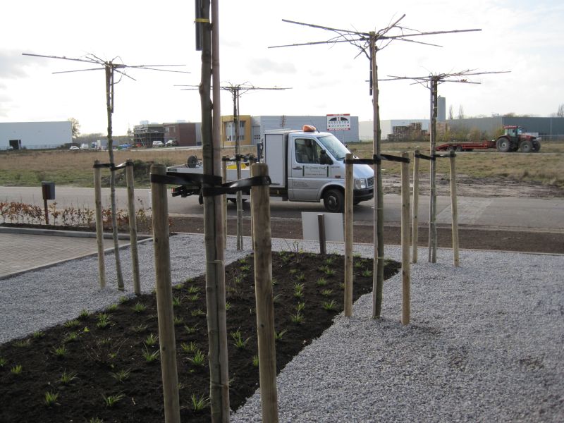 foto20081027_109.jpg