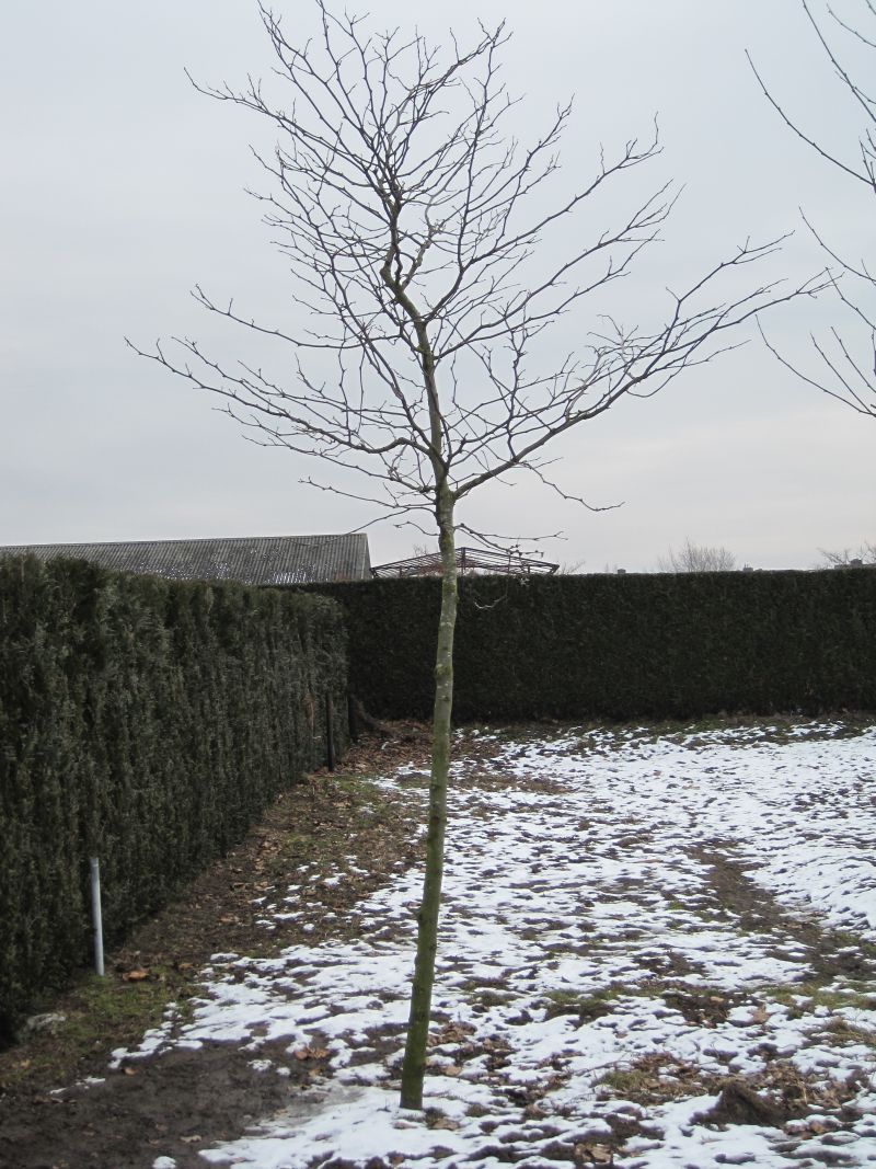 foto20081027_134.jpg