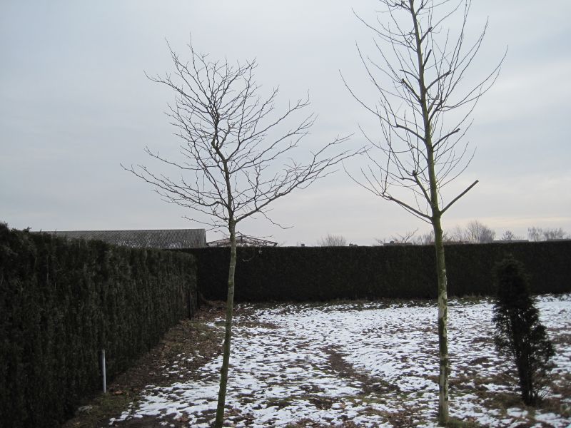 foto20081027_135.jpg
