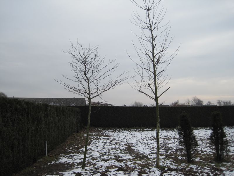 foto20081027_136.jpg