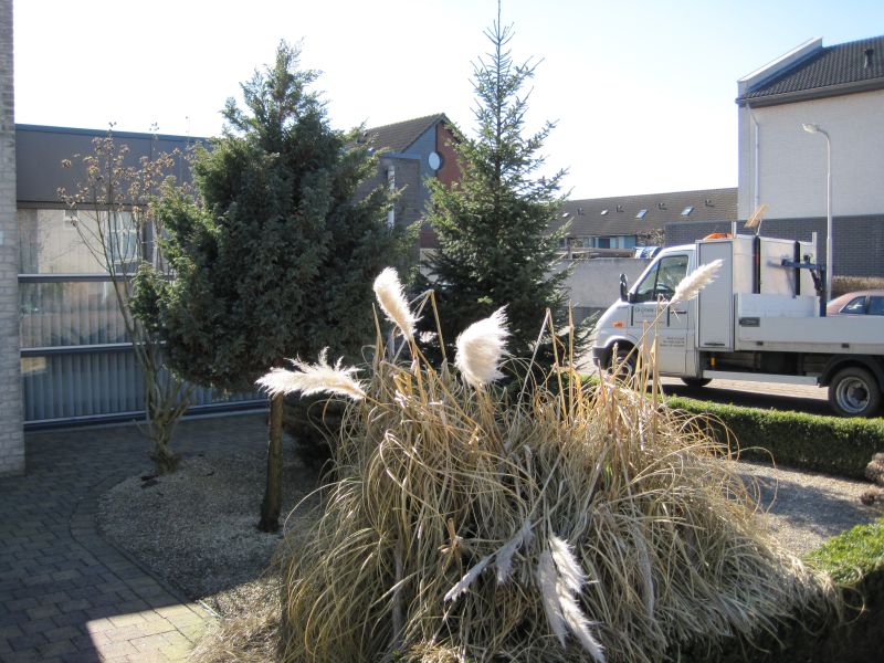 foto20081027_146.jpg