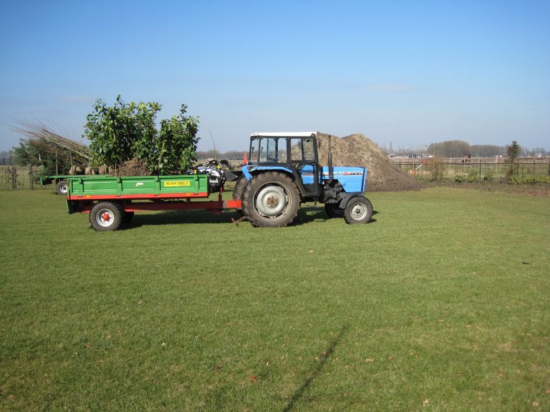 foto20081027_151.jpg