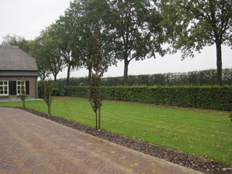 foto20081027_172.jpg